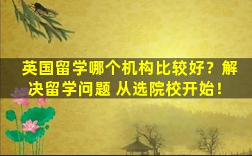 英国留学哪个机构比较好？解决留学问题 从选院校开始！